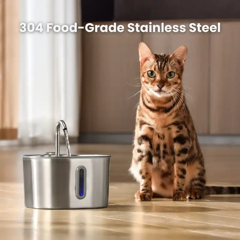 Health And Happiness Cat Kit